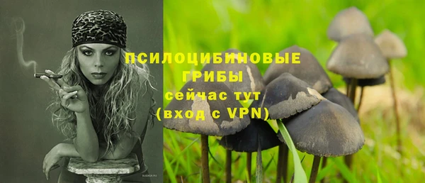 МДПВ Абдулино